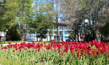 Universidad Adventista de Chile obtiene Acreditación Institucional
