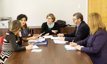 Reunión del Comité Académico de Magíster en Salud Pública