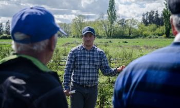 Día de Campo de la Carrera de Agronomía Cumple Décima Edición