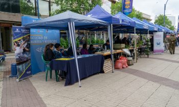 Exitosa Feria Orgánica y Agroecológica Organizó la UnACh