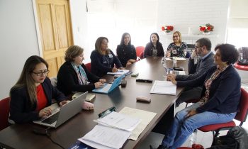 Comité de Magíster en Salud Pública Coordina Acciones con Facultad de Ciencias de la Salud