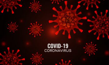 Investigadores de la UNACH apoyan a la Seremi de Salud de Ñuble con la proyección regional de la epidemia Covid-19