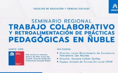 FECS Organizó Seminario Regional «Trabajo Colaborativo y Retroalimentación de Prácticas en Ñuble»