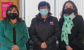 Seremi de Salud de Ñuble visita la UNACH