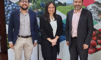 FAIN se reúne con Directora Regional de CORFO
