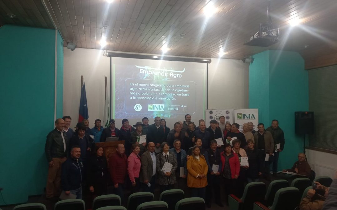 Cierre del programa emprende agro para empresas agroalimentarias de la Región de Ñuble