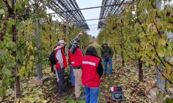 Estudiantes de INACAP participan de taller de energía Agro-Fotovoltaica desarrollado por la UNACH