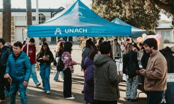 Actividades culminantes complementarios primer semestre 2024