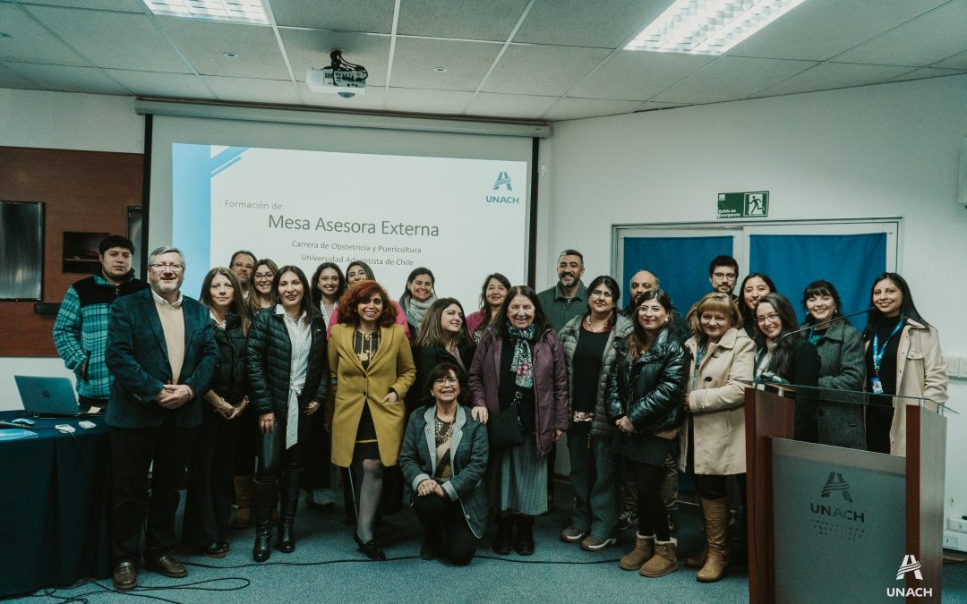 Se reunió Mesa Asesora Externa Obstetricia y Puericultura en la UNACH