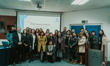 Se reunió Mesa Asesora Externa Obstetricia y Puericultura en la UNACH