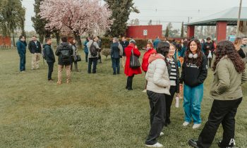 Simulacro Regional del Sector Educación en la Universidad Adventista de Chile: Preparación ante Emergencias