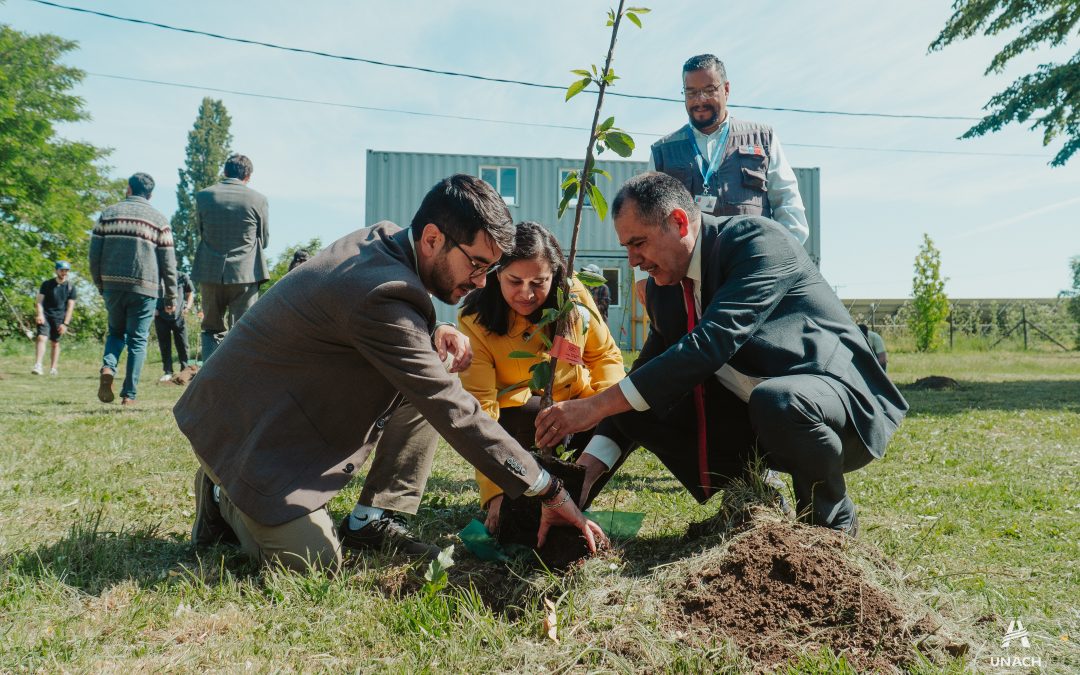 Establecimiento de la Plaza de Frutales en la Universidad Adventista de Chile: Un espacio de sostenibilidad y vinculación con la comunidad