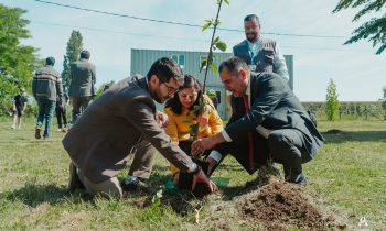 Establecimiento de la Plaza de Frutales en la Universidad Adventista de Chile: Un espacio de sostenibilidad y vinculación con la comunidad