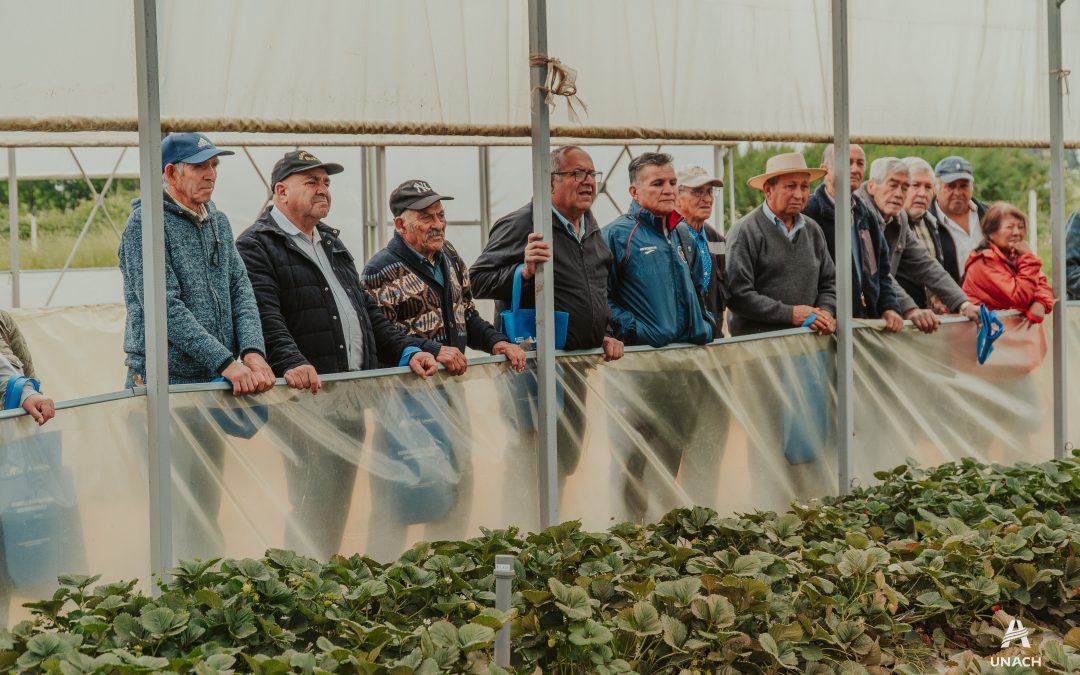 Exitosa jornada de día de campo en la Universidad Adventista de Chile