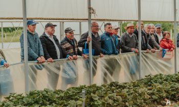 Exitosa jornada de día de campo en la Universidad Adventista de Chile