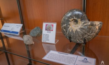 Museo Creacionista de la Universidad Adventista de Chile: Un hito cultural y educativo en la Región de Ñuble
