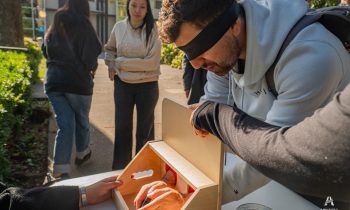 Intervención Visual de Educación Parvularia destaca la importancia de la neurodivergencia en la formación docente