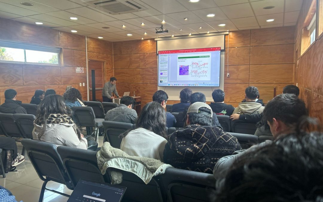 Facultad de Ingeniería y Negocios y Vinculación con el Medio culminan exitosa visita de académicos de la Universidad Politécnica de Madrid