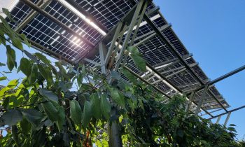 Académico de la Universidad Adventista de Chile destaca en taller sobre innovación en riego con Energías Renovables y Sistemas Agro-Fotovoltaicos