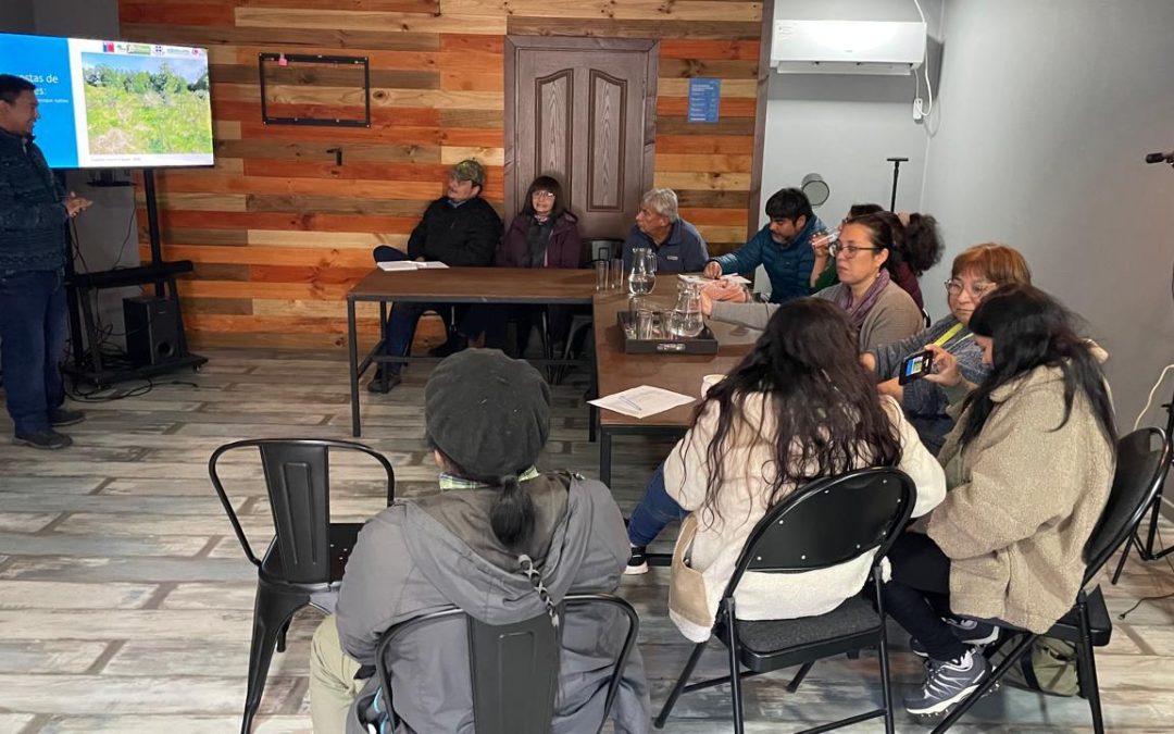 Taller de Comercialización de Calafate: UNACH participa en el Desarrollo Productivo de Aysén