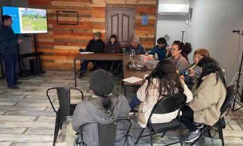 Taller de Comercialización de Calafate: UNACH participa en el Desarrollo Productivo de Aysén