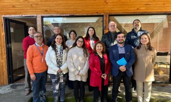 PEGB fortalece su compromiso con la lectura: académica y estudiante participan en reunión del Comité Regional de Fomento Lector de Ñuble