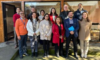PEGB fortalece su compromiso con la lectura: académica y estudiante participan en reunión del Comité Regional de Fomento Lector de Ñuble