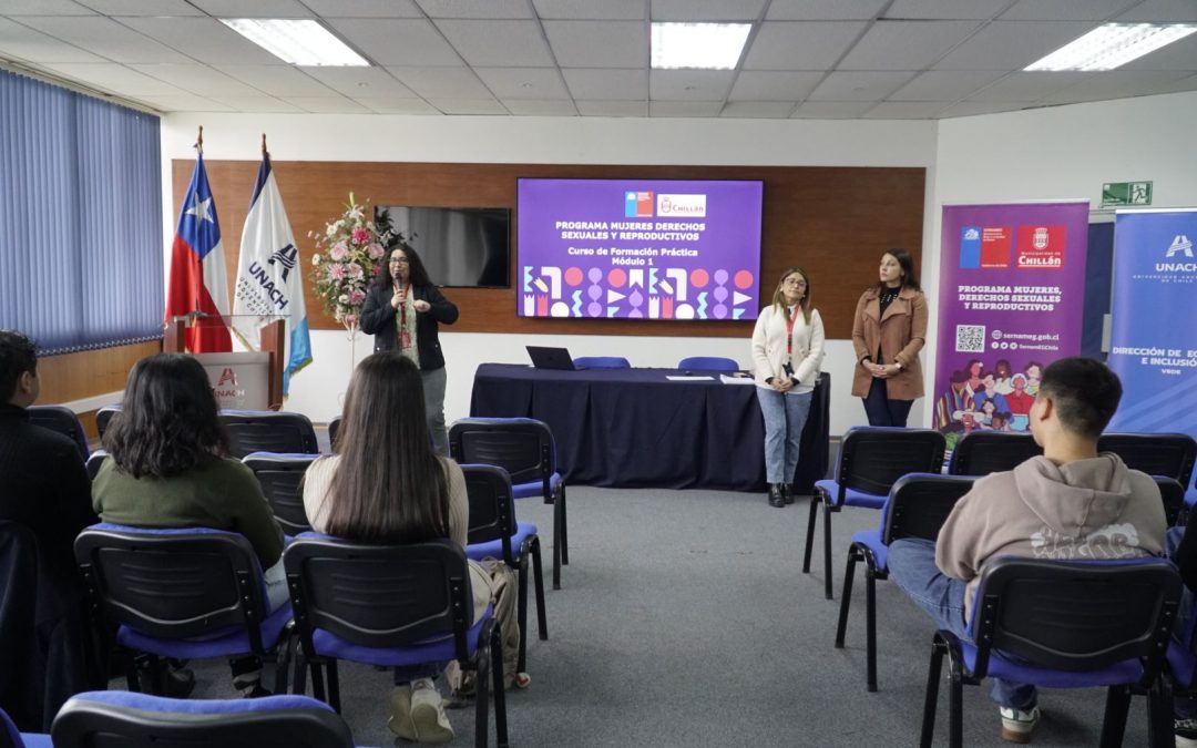 DEI realiza talleres con la Municipalidad de Chillán