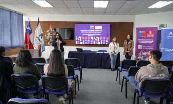 DEI realiza talleres con la Municipalidad de Chillán