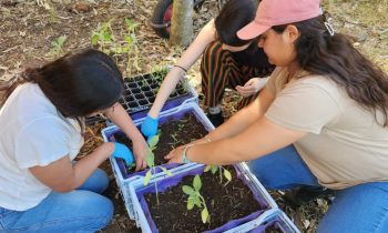 Cultivando bienestar: Estudiante de Agronomía contribuye a Proyecto Sensorial en San Carlos