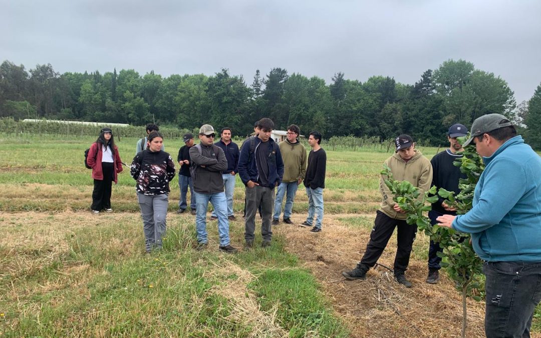 Estudiantes de agronomía profundizan conocimientos en mejoramiento genético frutícola