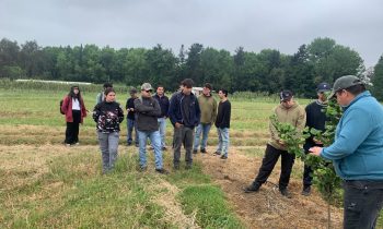 Estudiantes de agronomía profundizan conocimientos en mejoramiento genético frutícola