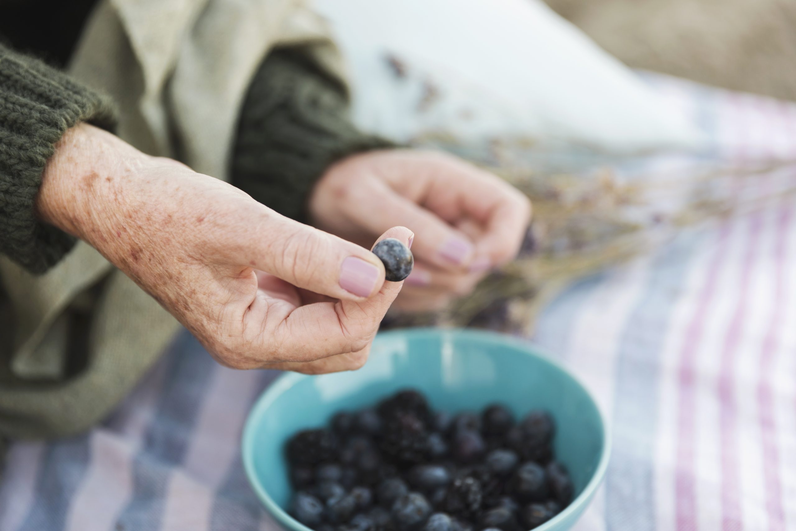 hand-holding-fresh-blueberry