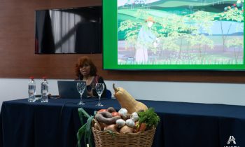 Cuando la arcilla y los microorganismos se alían contra los súper-bacterias