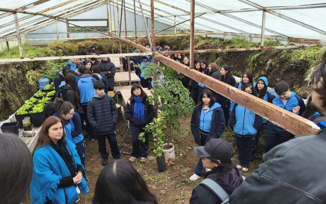 Estudiantes de Agronomía enseñando sobre invernaderos subterraneos
