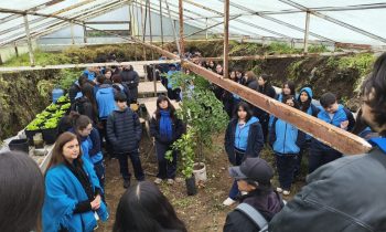 Estudiantes de Agronomía enseñan a escolares el potencial de los invernaderos subterráneos