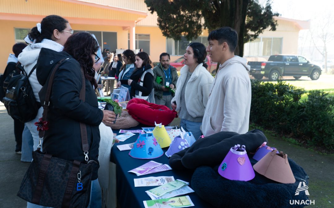 Feria de Actividades Culminantes: Innovación y vínculo comunitario en la UNACH