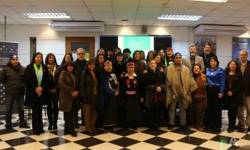Ceremonia de Cierre y Lanzamiento del Plan de Revitalización Cultural Indígena en Ñuble