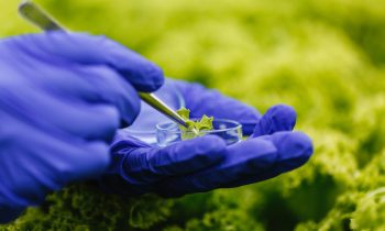 Proyecto sobre salud del suelo y microplásticos une a Chile y Colombia